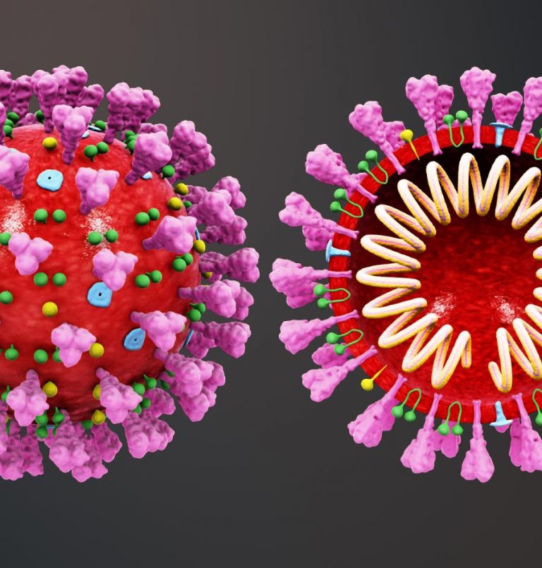 Drug co-developed by Hebrew U helps HIV coronavirus patients