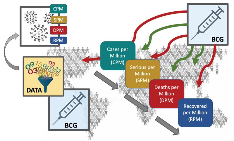 Graphical abstract of the study.