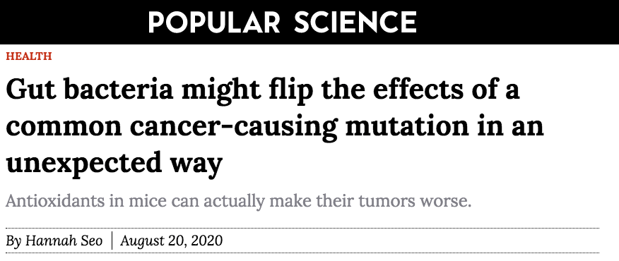 Popular Science header - Gut bacteria might flip the effects of a common cancer-causing mutation in an unexpected way - Antioxidants in mice can actually make their tumors worse.