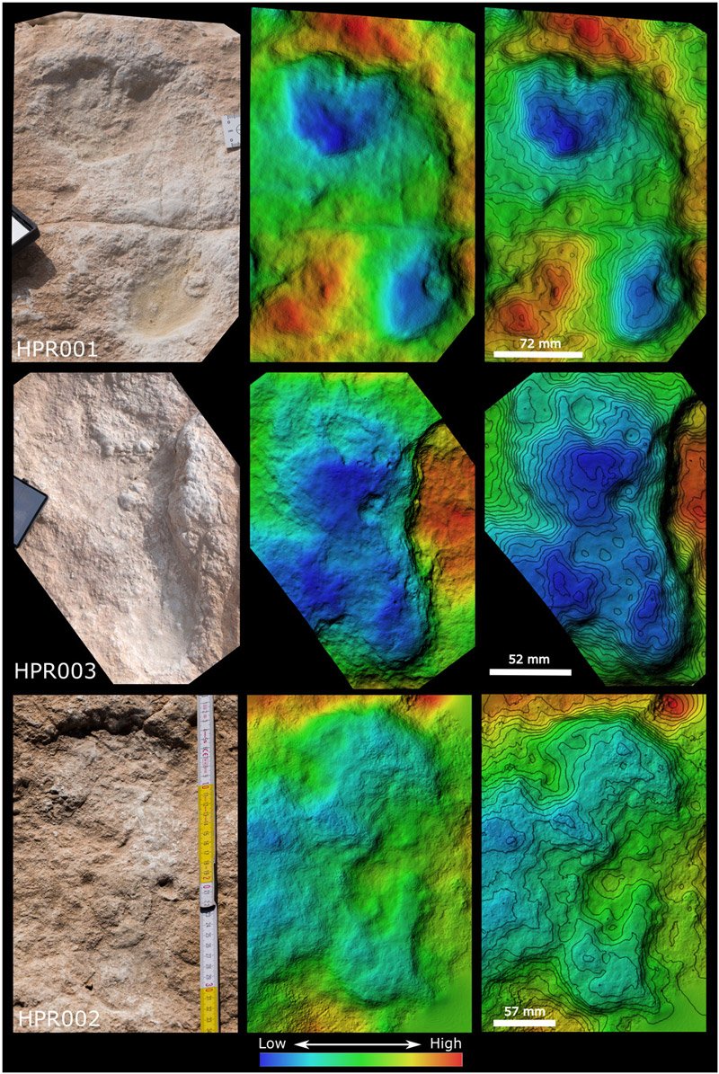 Digital elevation models of three selected hominin tracks.