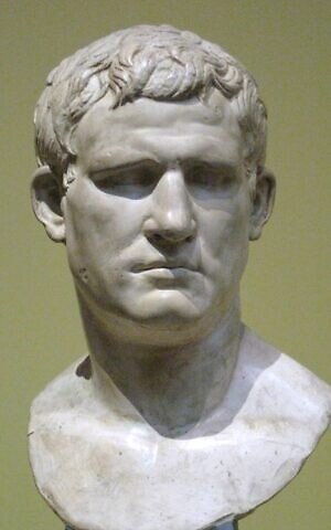 A bust of Marcus Agrippa