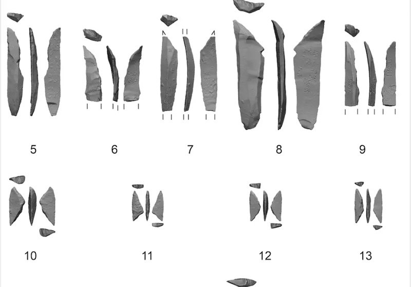 Microliths and microburins from the Ein Gev sites. Figure created with Artifact3-D at the Computational Archaeology Laboratory, Hebrew University of Jerusalem.