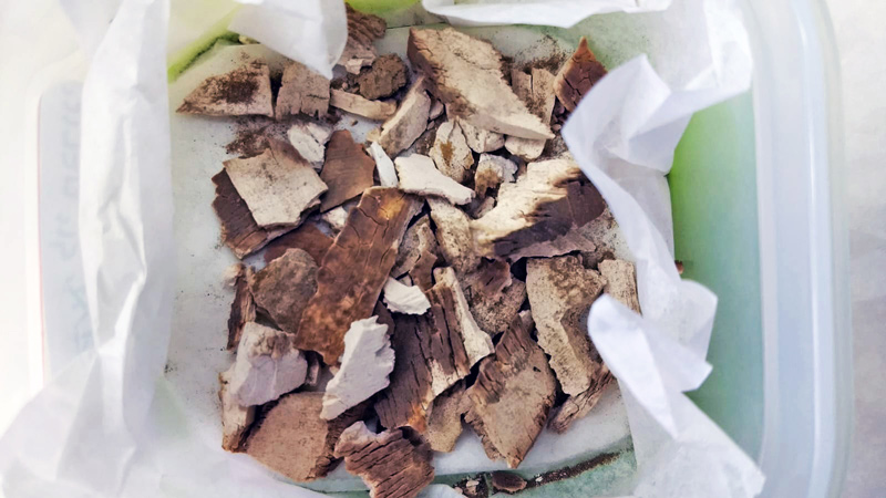 Ivory vessel fragments before restoration