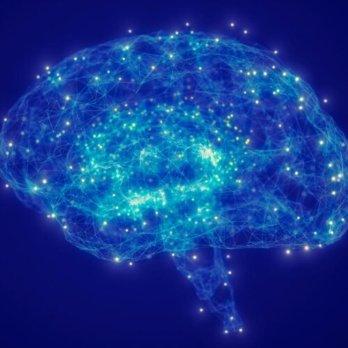 Brain Neurons Found to Regulate Levels of Alertness Including Sleep - Hebrew University Study