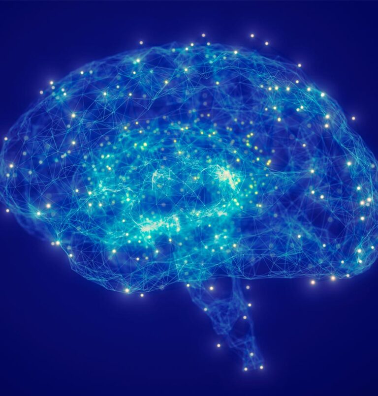 Brain Neurons Found to Regulate Levels of Alertness Including Sleep – Hebrew University Study