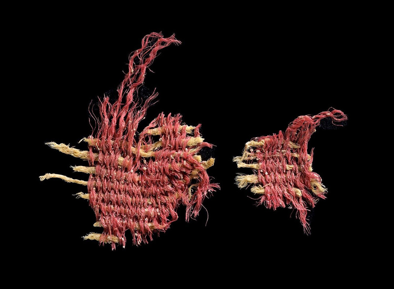 A piece of the rare 3,800-year-old fabric, dyed with the oak aphid.